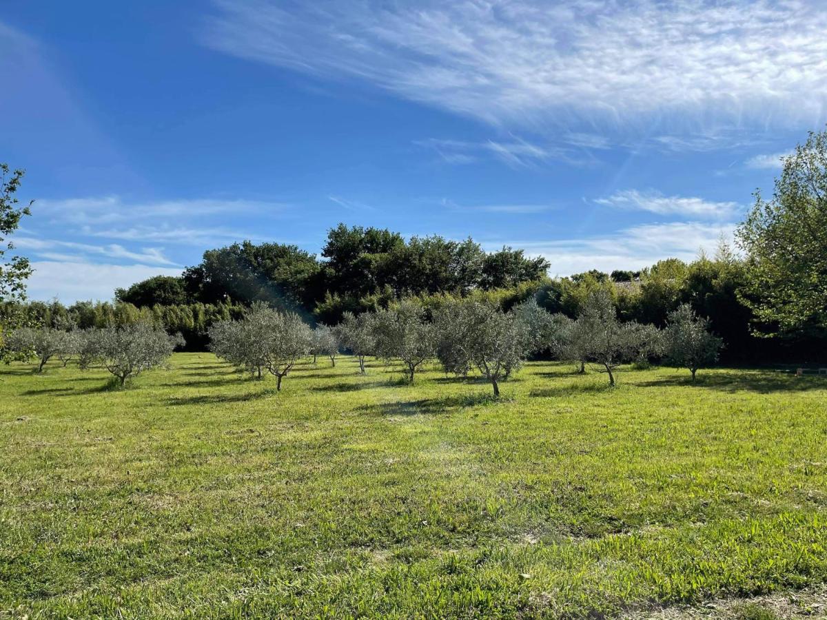 Appartement De Charme Sud Luberon Classe 4 Etoiles Puyvert Exterior foto